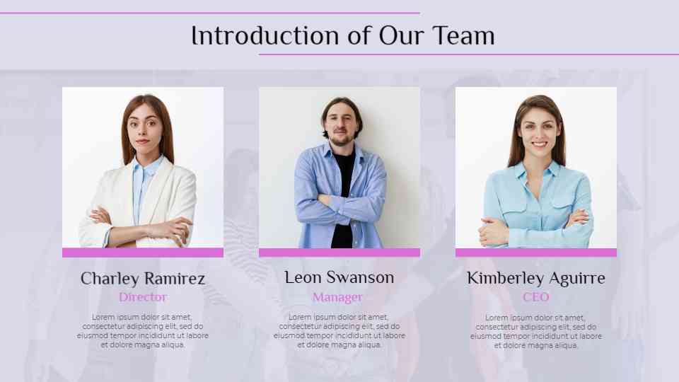 Management Team Profile Display